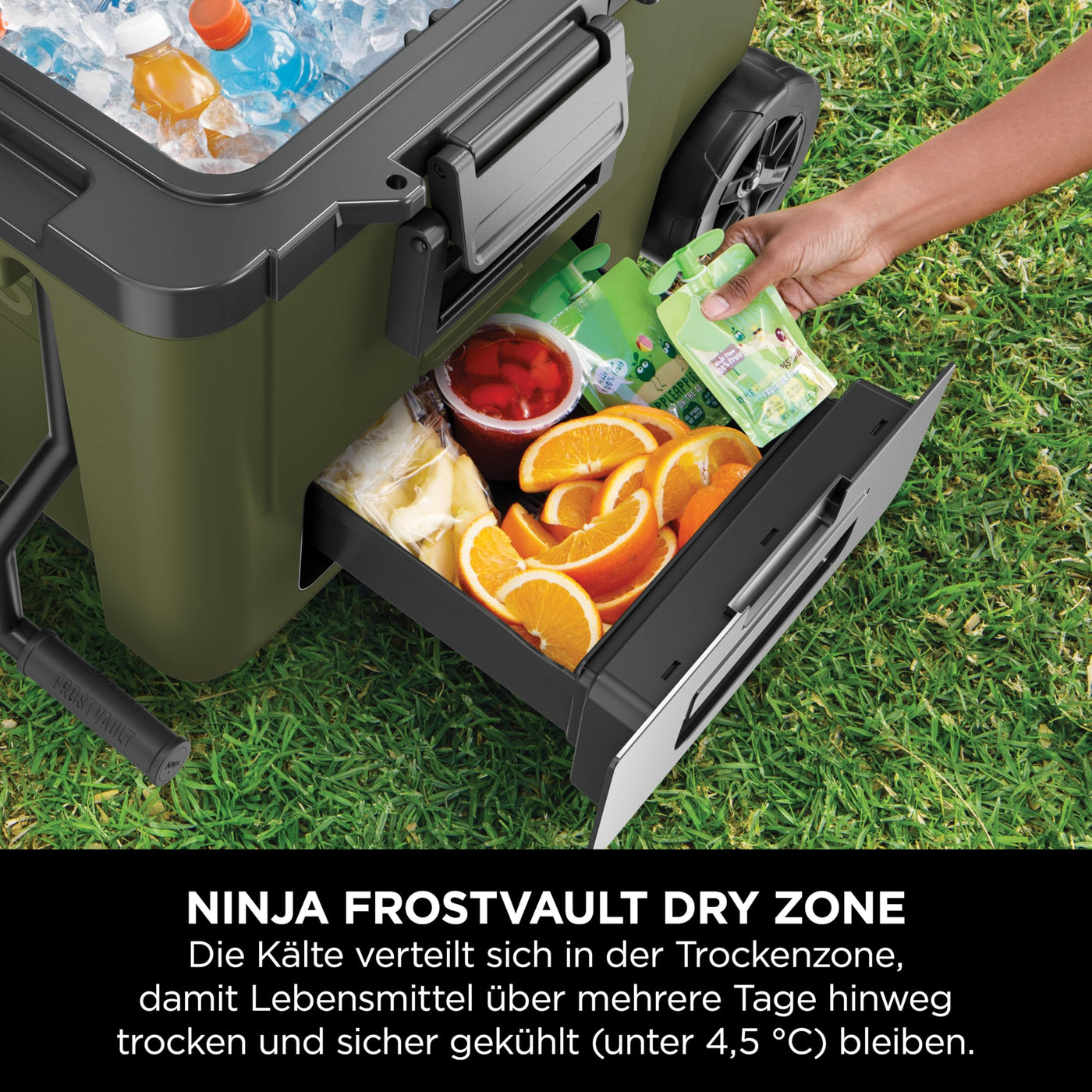 Ninja FrostVault Kühlbox mit Rollen und Isolierung, Thirti Flasche & Kühlakku, integrierter Dry Zone Schublade für Lagerung bei Kühlschranktemperatur, olivegrün, FB245AMZEUUKGN